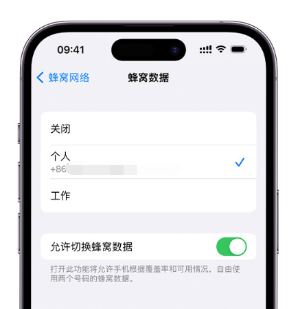 洛隆苹果维修服务分享如何在iPhone上使用双卡 